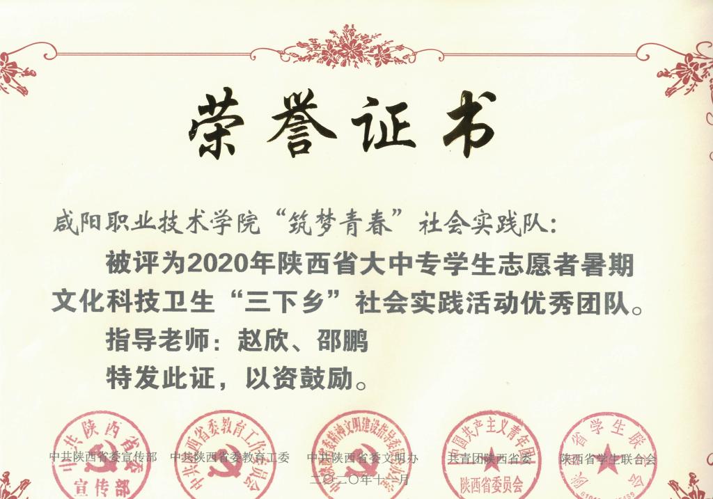 2020年陕西省大中专学生志愿者暑期文化科技卫生“三下乡”社会实践活动优秀团队