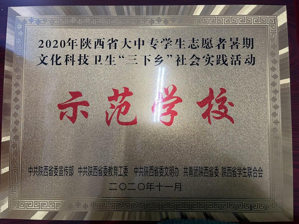 2020年陕西省大中专学生志愿者暑期文化科技卫生“三下乡”社会实践活动示范学校